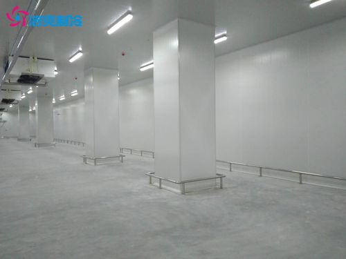建造100萬斤鮮玉米保鮮冷庫與相關(guān)建筑材料供應(yīng)指南